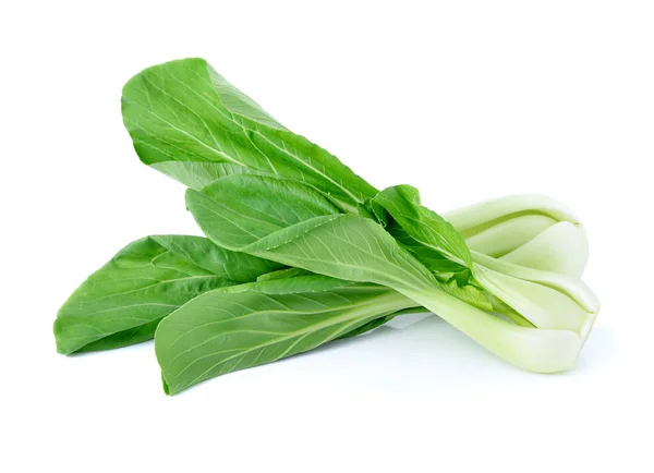 Bok Choy Kínai Kel Elszigetelt Fehér — Stock Fotó