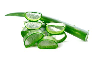 aloe vera taze yaprak beyaz izole