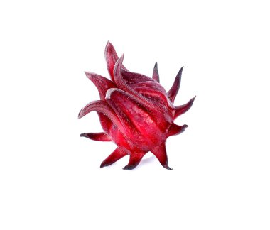 Beyaz arka plan üzerinde izole hibiscus sabdariffa veya roselle meyve.