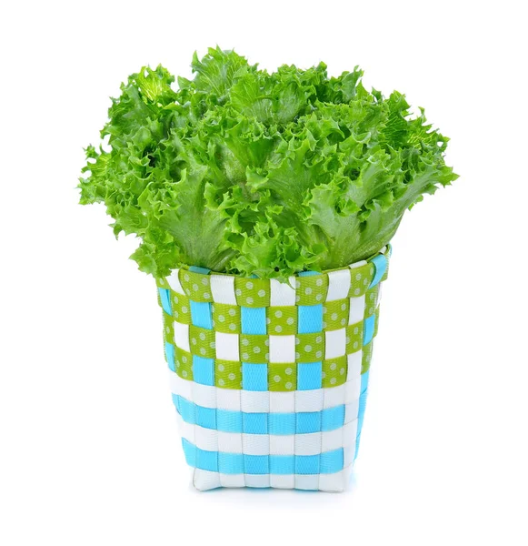 Frischer Bio Salat Einem Korb Isoliert Auf Weißem Hintergrund — Stockfoto