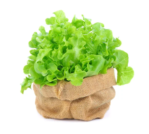 Grön Sallad Vit Bakgrund — Stockfoto