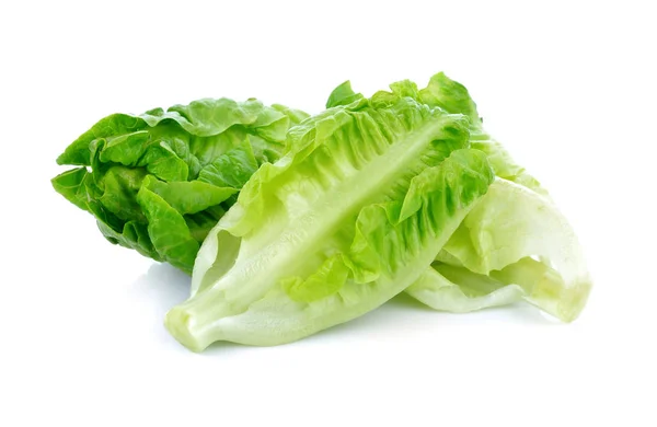 Свежий Baby Cos Lettuce Белом Фоне — стоковое фото