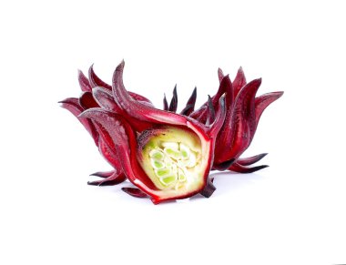 Beyaz arka plan üzerinde izole hibiscus sabdariffa veya roselle meyve.