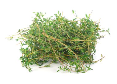 Beyaz arka plan üzerinde izole kekik herb