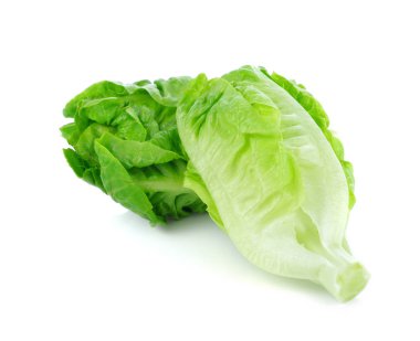 Taze bebek çünkü (marul) beyaz arka planda