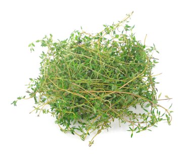 Beyaz arka plan üzerinde izole kekik herb