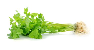 Beyaz arka plan üzerinde izole taze kereviz yaprağı