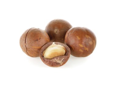 Beyaz arka planda Macadamia fındıkları