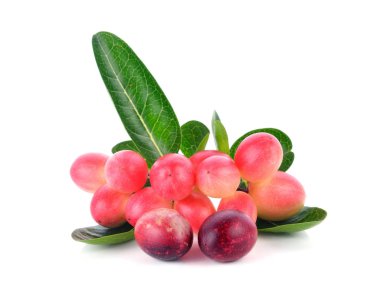 Bengal kuş üzümü, carandas-Erik, karanda beyaz arka plan üzerinde