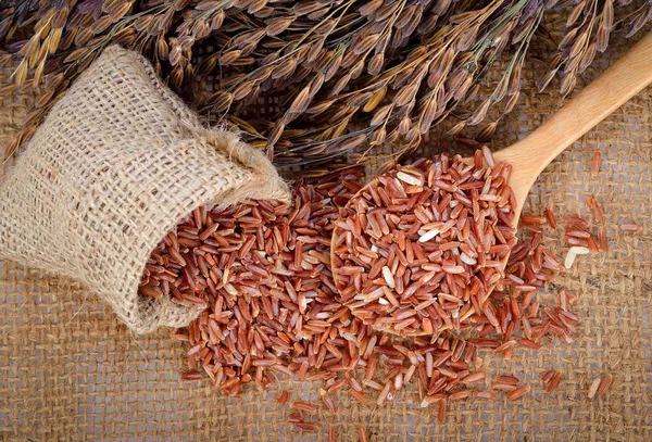 Arroz Rojo Arroz Integral Oreja Arroz — Foto de Stock