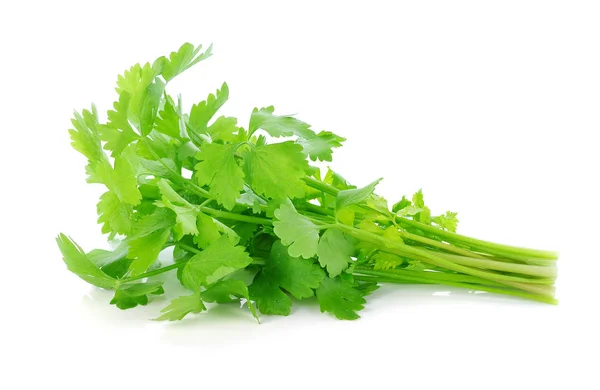 Čerstvý Celer Listový Izolovaných Bílém Pozadí — Stock fotografie