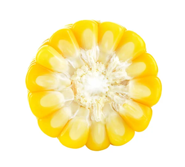 Corn White Background — Stock Photo, Image