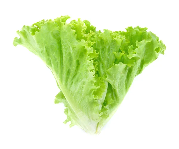 Lechuga Fresca Aislada Sobre Fondo Blanco — Foto de Stock