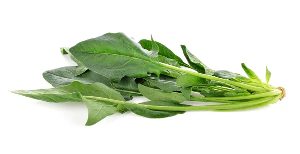 Fresh Spinach Isolated White — Stock Photo, Image