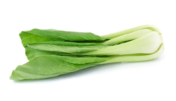 Bok Choy Col China Aislado Sobre Fondo Blanco — Foto de Stock