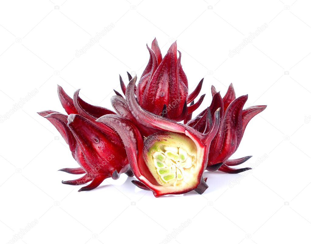 Hibiscus sabdariffa or roselle fruits isolated on white background.