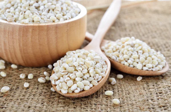 Pearls Barley Grain Seed Background — Stock Photo, Image