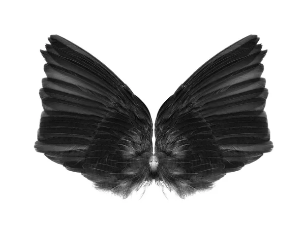 Крылья Изолированы Белом Фоне — стоковое фото