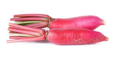 Beyaz arkaplanda kırmızı turp izole edildi