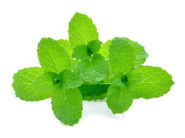 Beyaz arkaplanda izole edilmiş nane yaprakları.