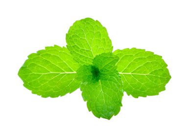 Beyaz arkaplanda izole edilmiş nane yaprakları.