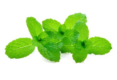 Beyaz arkaplanda izole edilmiş nane yaprakları.