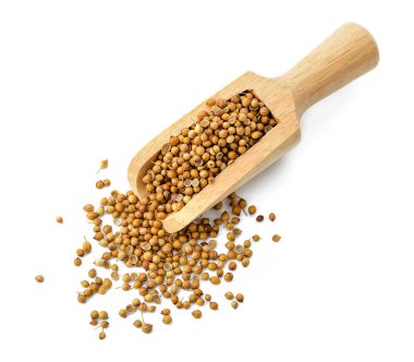 Kişniş tohumları beyaz arkaplanda izole edildi