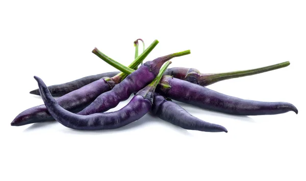 Фиолетовый Чили Белом Фоне — стоковое фото