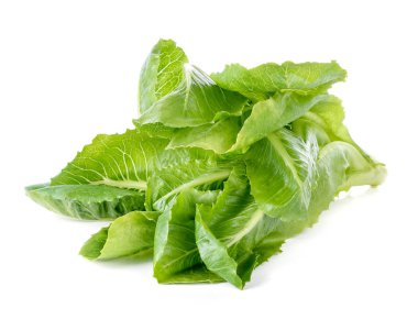 Çünkü marul beyaz zemin üzerine