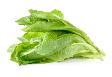 Çünkü marul beyaz zemin üzerine