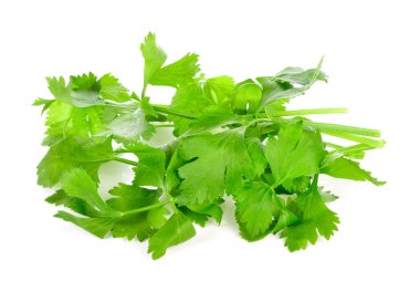 Beyaz arka planda izole edilmiş taze kereviz.