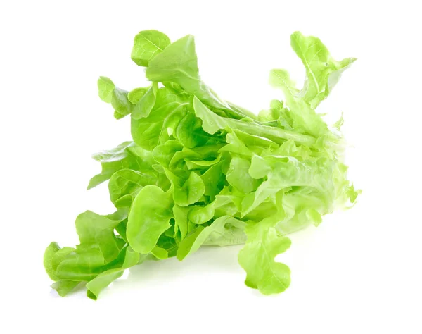 Lettuce leaves isolated on white background — Stock Photo, Image