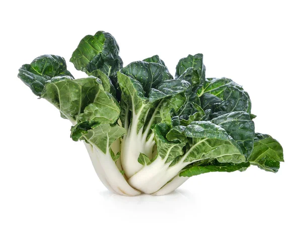 Bok choy növényi izolált fehér alapon — Stock Fotó