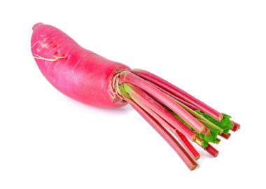 Beyaz arkaplanda taze turp izole edildi