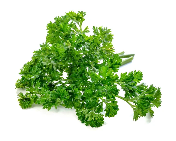 Parsley isolated on a white background Stock Photo