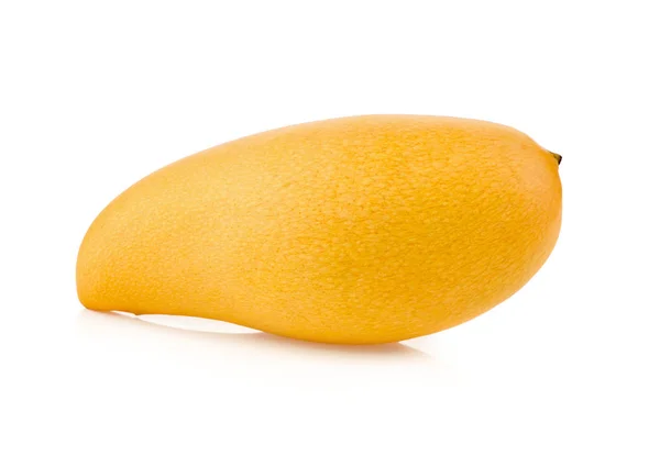 Mango isolato su sfondo bianco — Foto Stock