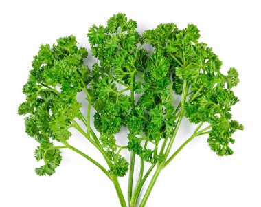 Maydanoz beyaz arka planda izole edilmiş. Üst görünüm