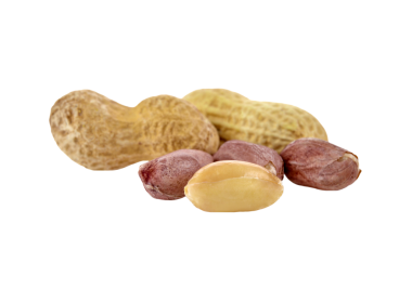 Kurutulmuş fıstık şeffaf png