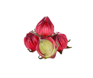 Hibiscus Sabdariffa veya Roselle meyveleri şeffaf png