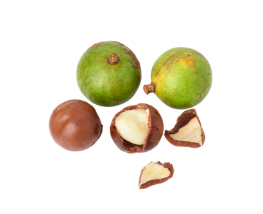 Macadamia cevizleri şeffaf png