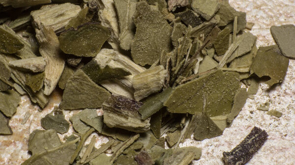 The Herbal Mate Photography