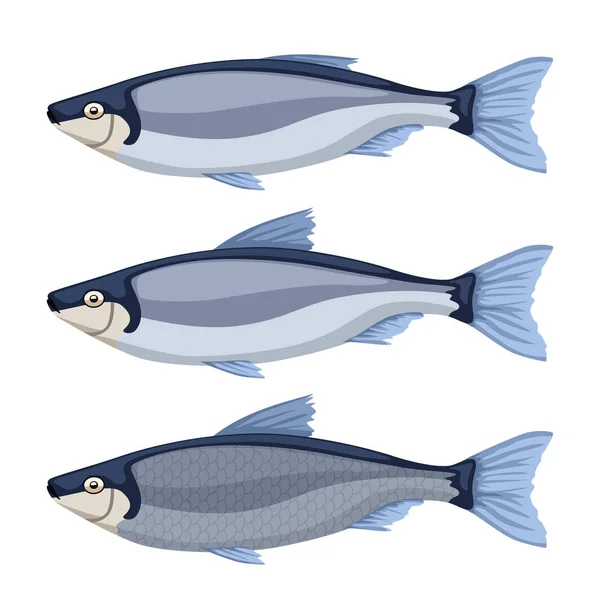 魚を白に設定 — ストックベクタ