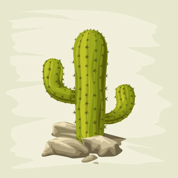 Kaktus mit Felsen auf weißem Hintergrund — Stockvektor