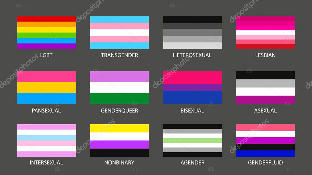 Illustration of set simple sexual and gender flags isolated on grey background