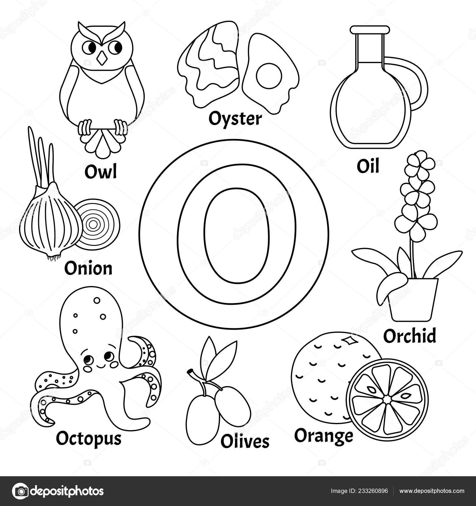 Alfabeto De Animales Para Colorear Oh My Alfabetos El