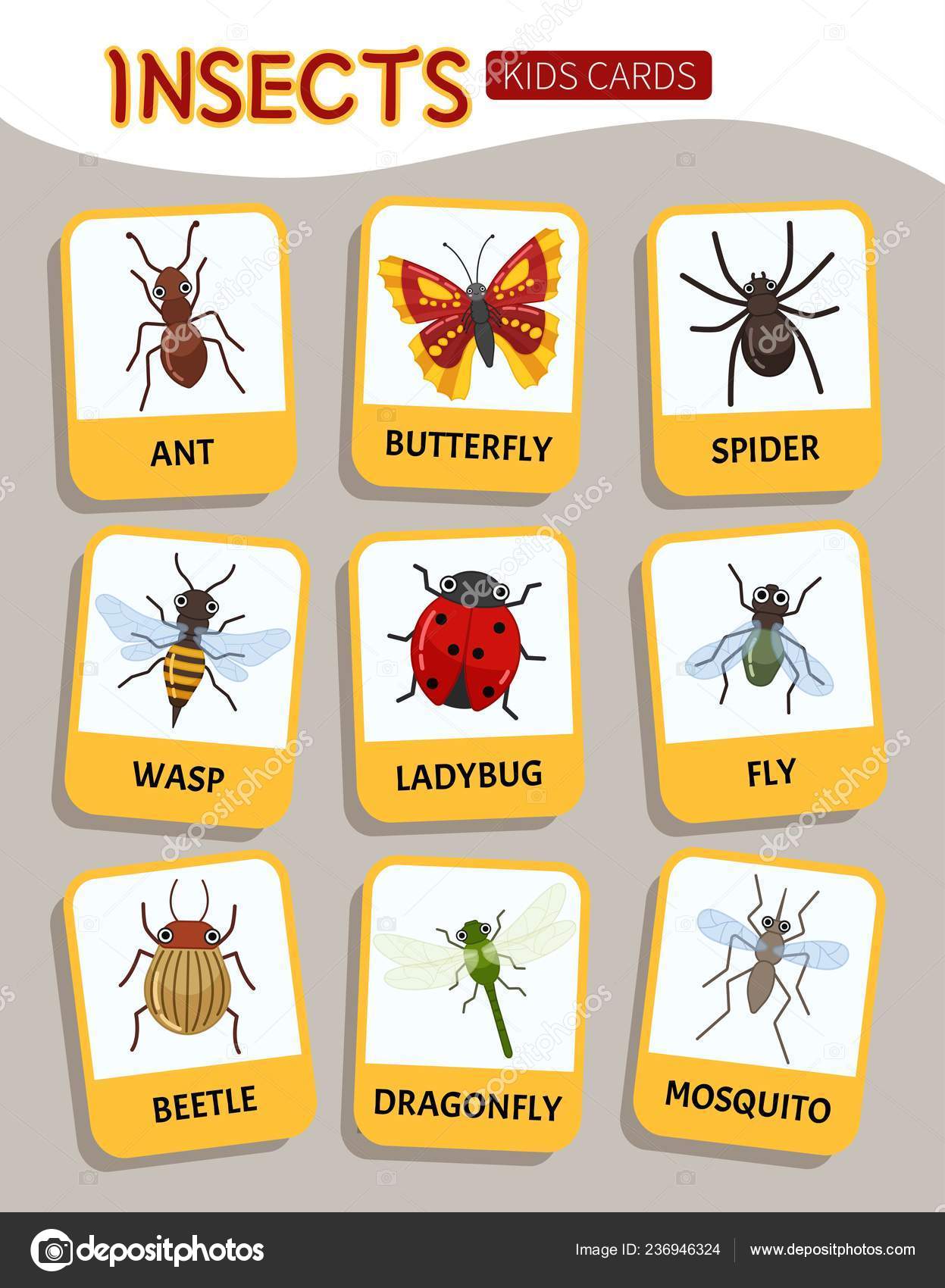 Educational Cards Children Insects Vector Illustration Cute Insects Stock Vector C Igdeevaalena 236946324