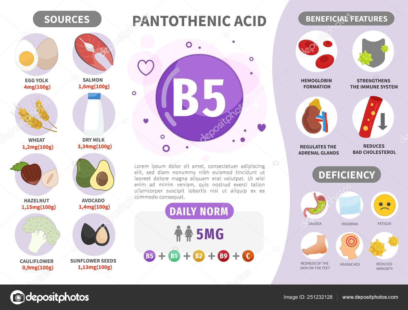 infographics vitamin products containing vitamin daily norm symptoms deficiency vector stock vector image by c igdeevaalena 251232128