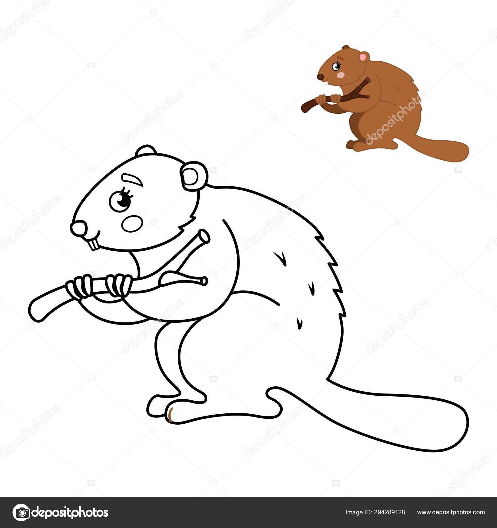 Download 44 Beaver Cartoon Forest Animals Coloring Book Vector Images Free Royalty Free Beaver Cartoon Forest Animals Coloring Book Vectors Depositphotos