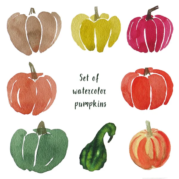 Watercolor illustration. Set of painted pumpkins on a white background. Vegetarian healthy food.