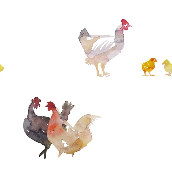 Aquarell Illustration Nahtloses Muster Henne Und Huhn Auf Weißem Hintergrund — Stockfoto